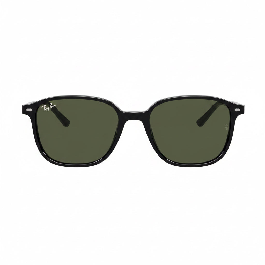 RayBan Original Classic 2193 901/31 Leonard Black Sunglasses