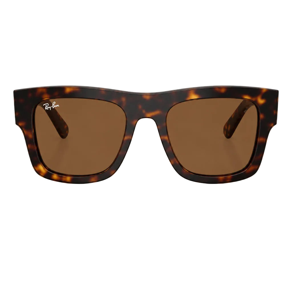 RayBan Original Classic 2217M 7F613 13 Sucederia Ferrari Havana Brown Sunglasses