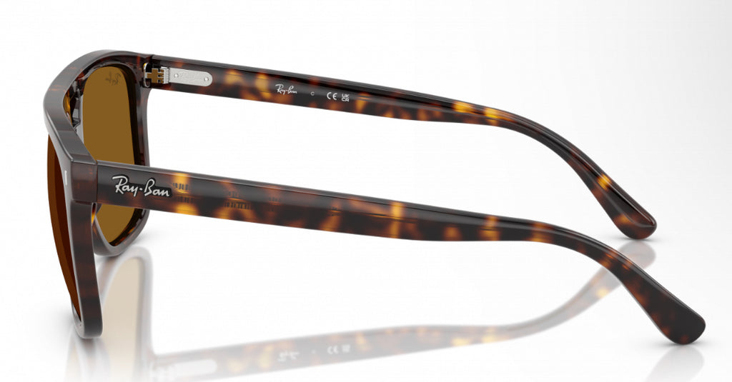 RayBan Original Classic 2213 902/33 Nouveaute Brown Sunglasses