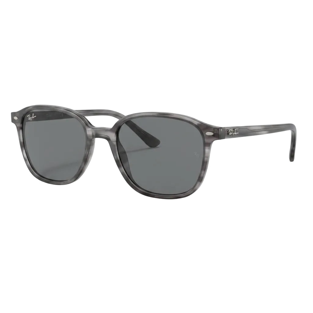 RayBan Original Classic 2193 1341/B1 Leonard Grey Sunglasses