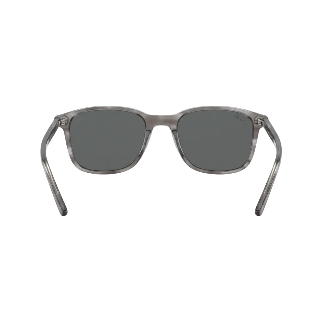 RayBan Original Classic 2193 1341/B1 Leonard Grey Sunglasses