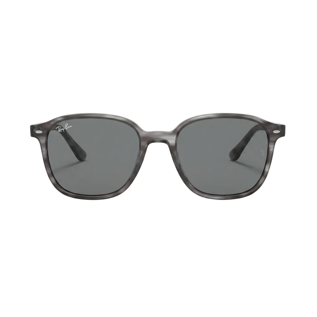 RayBan Original Classic 2193 1341/B1 Leonard Grey Sunglasses