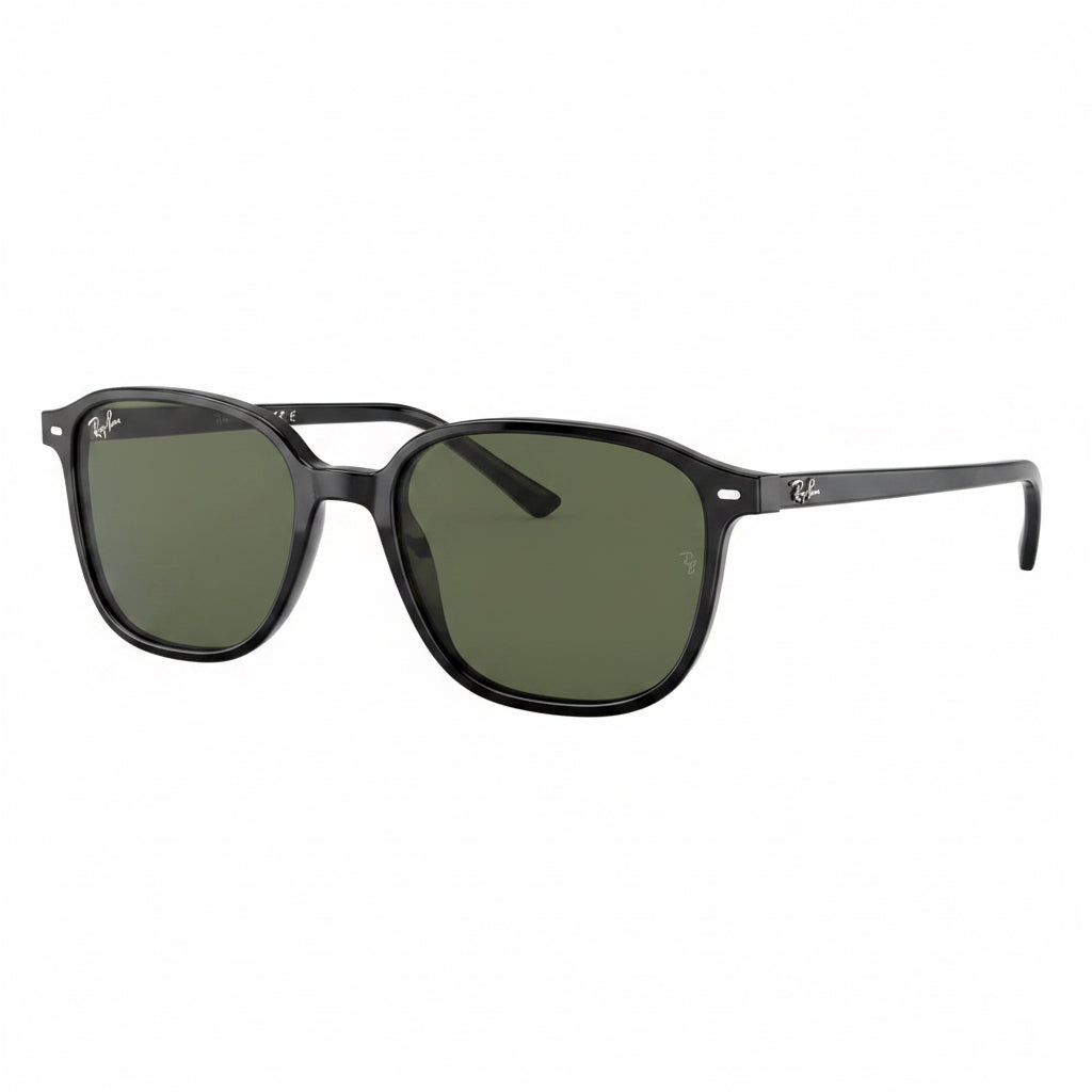 RayBan Original Classic 2193 901/31 Leonard Black Sunglasses