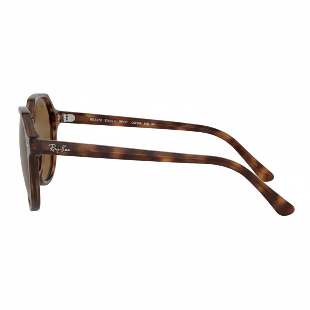 RayBan Original Classic 2195 954/33 Thalia Havana Sunglasses