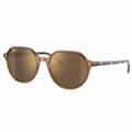 RayBan Original Classic 2195 954/33 Thalia Havana Sunglasses