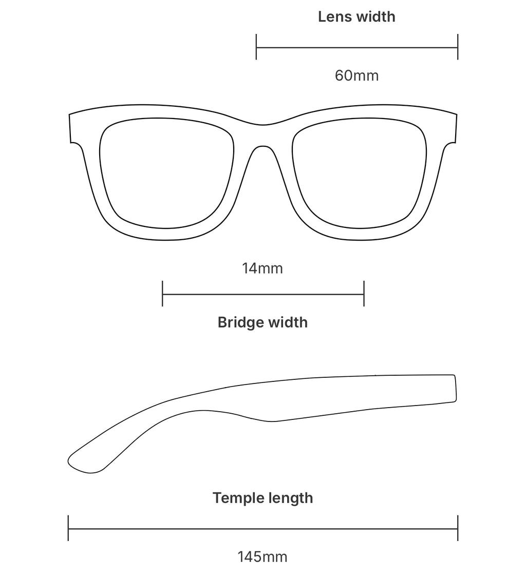 RayBan Original Classic 2198 1341/B1 Grey Sunglasses